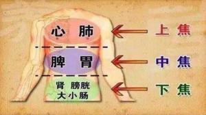 中焦如沤