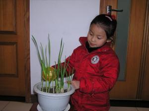 小蒜图册