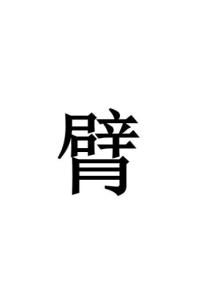 臂