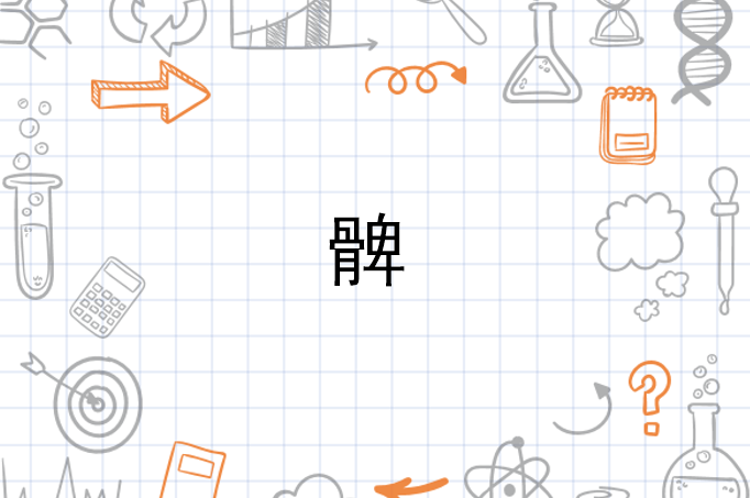 髀