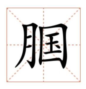 腘