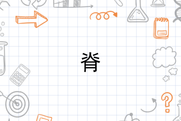 脊