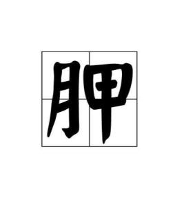 胛