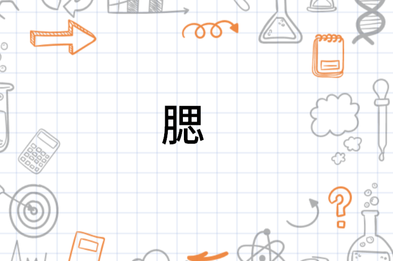 腮