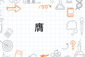 膺
