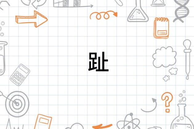趾