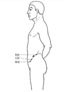 带脉