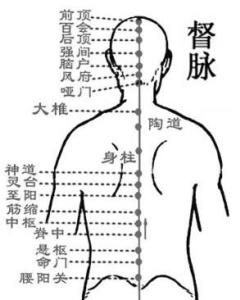 督脉