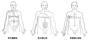 十二经脉