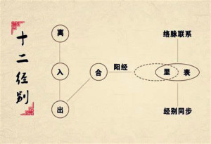 十二经别