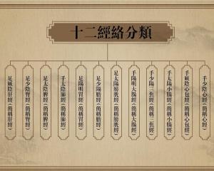 十二经脉