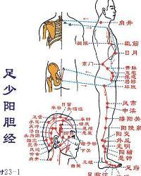 足少阳胆经