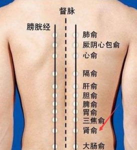 足太阳膀胱经