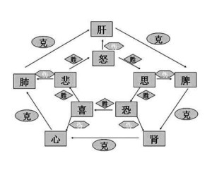 七情相关图