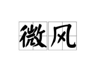 微风