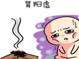 肾阳虚