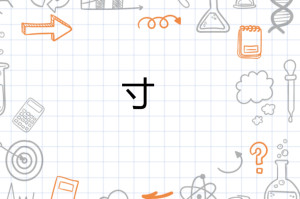 寸