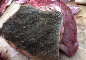 野猪肉