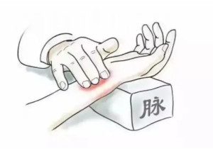 滑脉