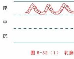 芤脉