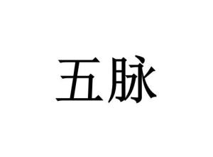 五脉