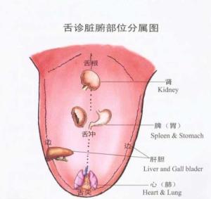 舌诊