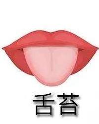 舌苔