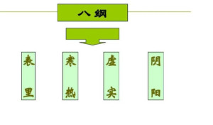 八纲辨证