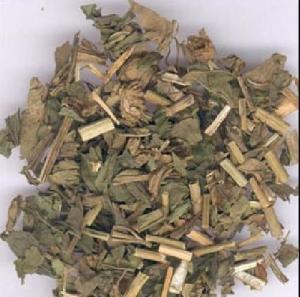 清热解暑茶