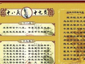 十八反