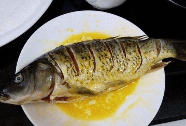 油鱼