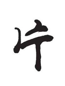 片