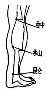 转筋