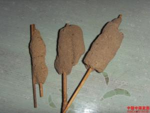 紫梢花图册