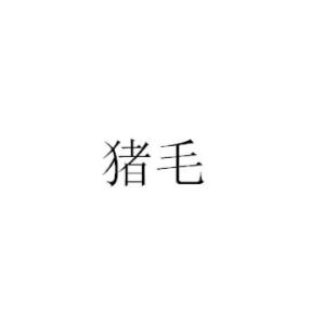 猪毛
