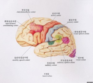 精神病鉴定是判定服刑和受审能力的依据