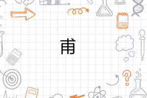 甫