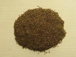 孜然（植物）