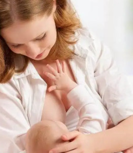 哺乳