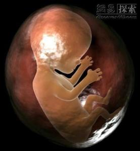 发育
