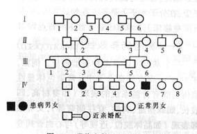 常染色体隐性遗传病系谱