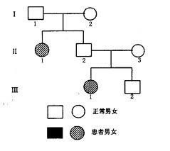 单基因遗传病遗传图谱