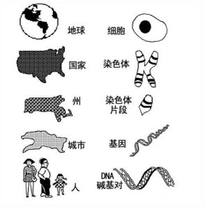 染色体异常