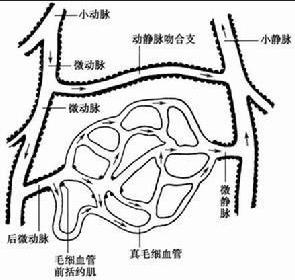 产科休克