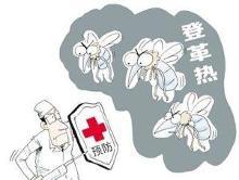 登革热