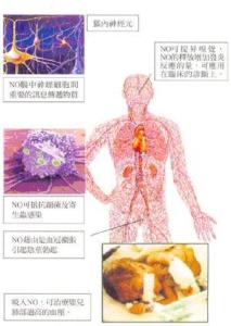 心血管