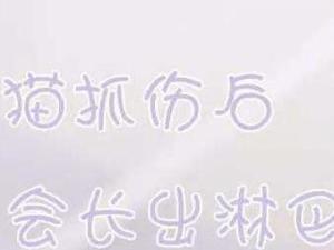 猫抓病