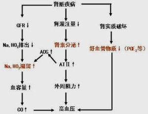 溶血示意图