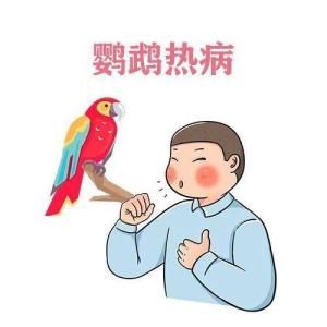 鹦鹉热衣原体肺炎