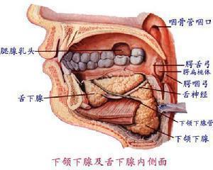 眶下间隙感染
